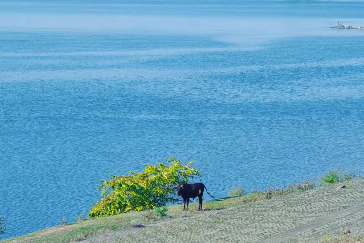 Zhangshu Ancient Sea Scenic Area